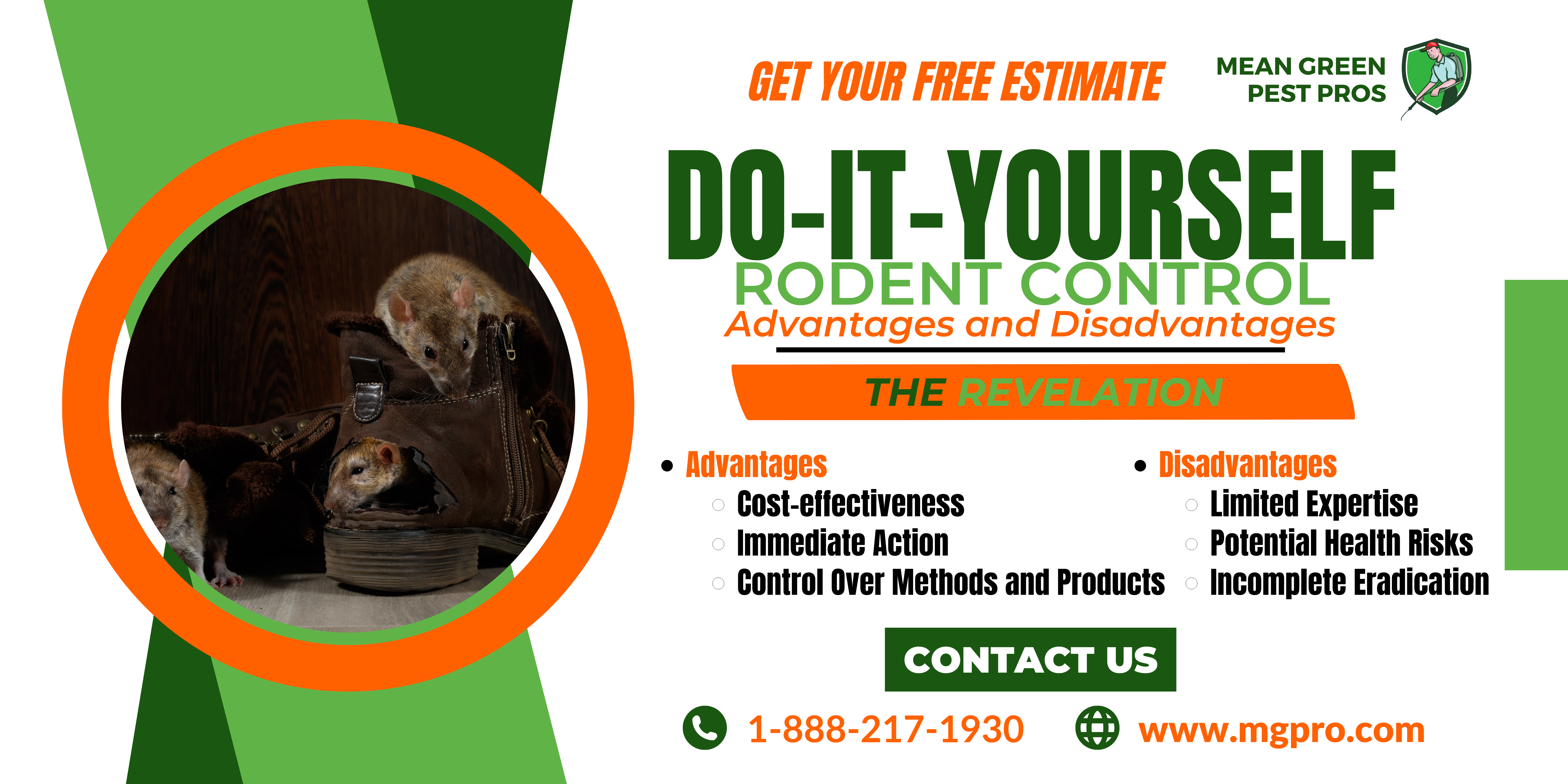 DIY Versus Professional Rodent Control Services